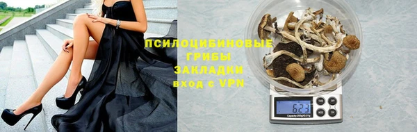 кокс Алзамай