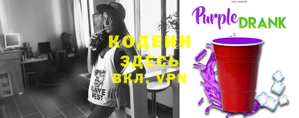 шишки Дмитриев
