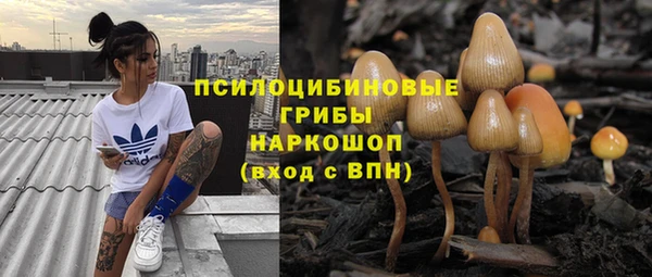дмт Алексин